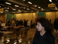 IMG 3115