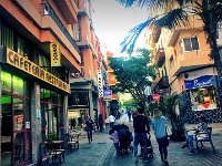 Santa Cruz de Tenerife Teneriffa entdecken und geniessen Reiseblog Internaut